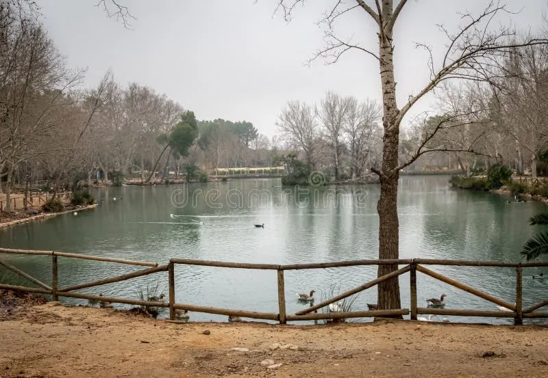 Anna confirma avistamiento de luces extrañas sobre el pantano; los patos no han querido declarar